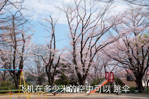 跳傘高度,傘從開傘到落地最少要有100米高度