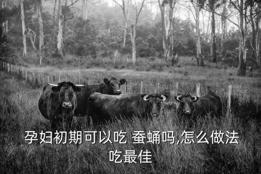 孕婦能吃蠶蛹嗎,孕婦吃絲瓜可助補(bǔ)充營養(yǎng)但不能吃太多