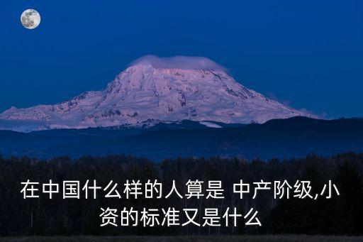 在中國什么樣的人算是 中產階級,小資的標準又是什么