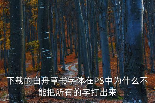 下載的白舟草書字體在PS中為什么不能把所有的字打出來