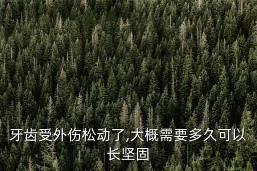 牙齒受外傷松動了,大概需要多久可以長堅固