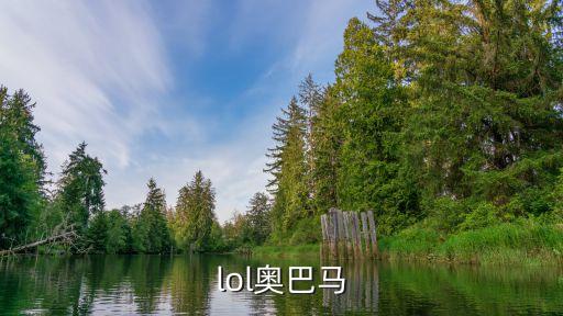 lol奧巴馬