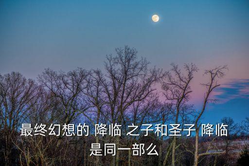 最終幻想的 降臨 之子和圣子 降臨是同一部么