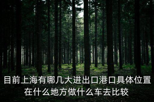 目前上海有哪幾大進出口港口具體位置在什么地方做什么車去比較
