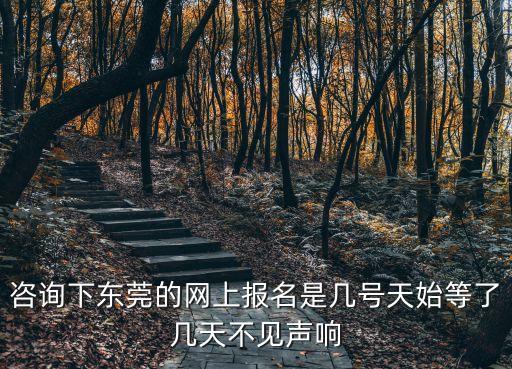 東莞2020招生入學網上試報名，咨詢下東莞的網上報名是幾號天始等了幾天不見聲響
