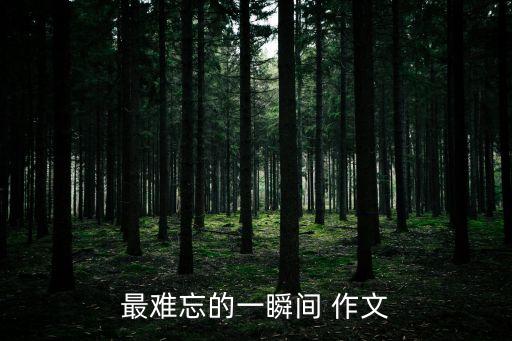 最難忘的一瞬間 作文