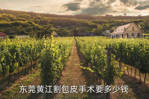 割皮手術費用要來東莞國岸咨詢，做割包皮手術要多少錢