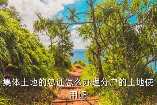 東莞集體土地使用證申請，集體土地的總證怎么辦理分戶的土地使用證