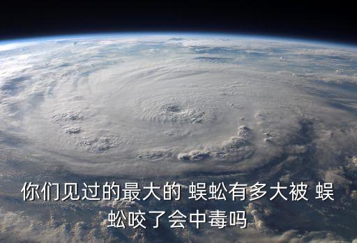 中國紅巨龍蜈蚣,全身是金字?這些不是金!