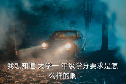 大學(xué)一年級,一些大學(xué)有按學(xué)分收費(fèi)系統(tǒng)學(xué)分可判斷學(xué)生學(xué)業(yè)水平