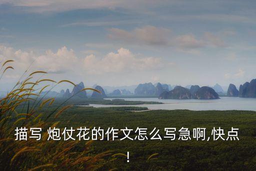描寫 炮仗花的作文怎么寫急啊,快點(diǎn)!