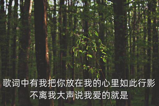 歌詞中有我把你放在我的心里如此行影不離我大聲說我愛的就是