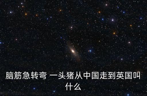 腦筋急轉彎 一頭豬從中國走到英國叫什么
