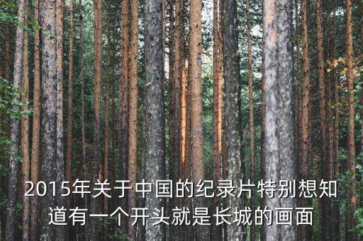 鳥瞰中國紀錄片，2015年關(guān)于中國的紀錄片特別想知道有一個開頭就是長城的畫面
