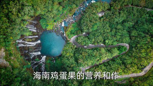 海南雞蛋果，海南雞蛋果的營養(yǎng)和作