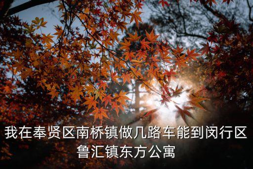 上海市東方城市公寓，我在奉賢區南橋鎮做幾路車能到閔行區魯匯鎮東方公寓