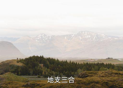三合，寅午戌三合為什么