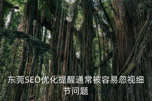 東莞SEO優化提醒通常被容易忽視細節問題