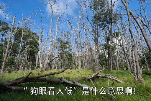 狗眼看人低,狗眼看人low引發歧視引發網民不滿