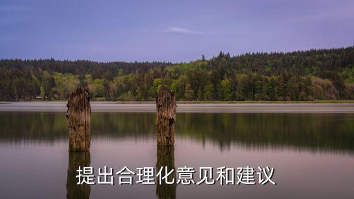 提出合理化意見和建議