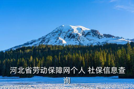  河北省勞動(dòng)保障網(wǎng)個(gè)人 社保信息查詢