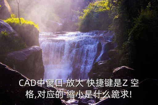CAD中窗口 放大 快捷鍵是Z 空格,對應(yīng)的 縮小是什么跪求!
