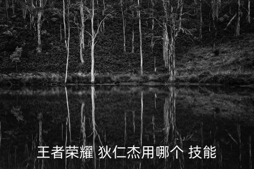 王者榮耀 狄仁杰用哪個 技能