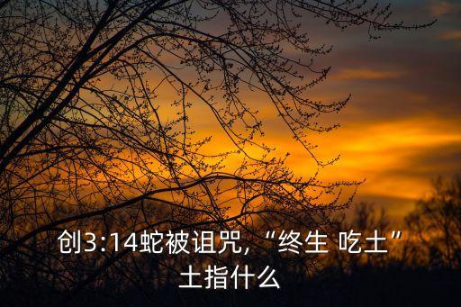 吃土什么意思,吃土源于50年雙十一購物狂歡節網友玩的游戲