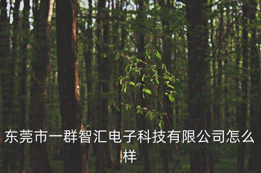 東莞市一群智匯電子科技有限公司怎么樣