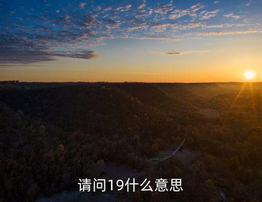19是什么意思，請問19什么意思