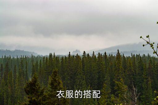 衣服的搭配