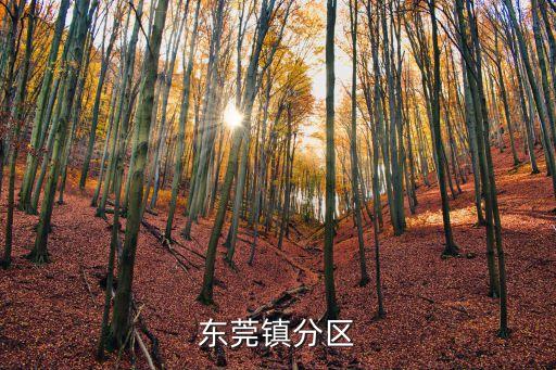 東莞鎮(zhèn)分區(qū)