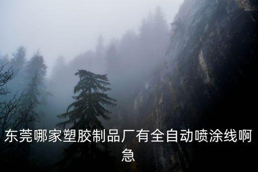 東莞哪家塑膠制品廠有全自動噴涂線啊急