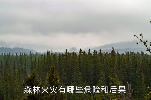 山火的危害,森林火災(zāi)預(yù)防措施有哪些?