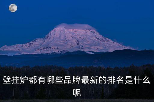 壁掛爐排行，壁掛爐都有哪些品牌最新的排名是什么呢