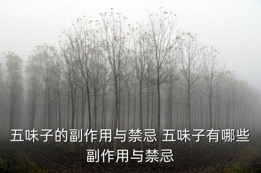 五味子的副作用，我經(jīng)常腹瀉吃五味子怎么樣有什么副作用嗎