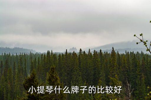 小提琴什么牌子的比較好