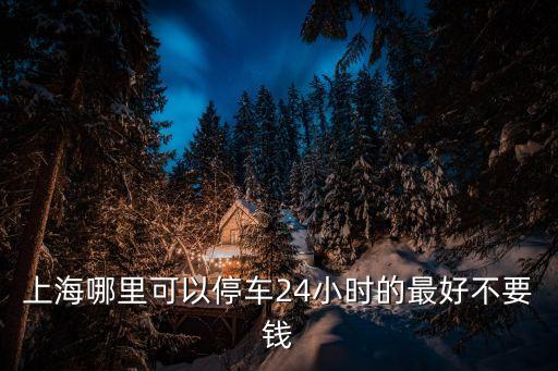 上海哪里可以停車24小時的最好不要錢