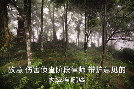故意傷害罪辯護詞,無罪辯護或免除刑事責任辯護律師應附卷說明