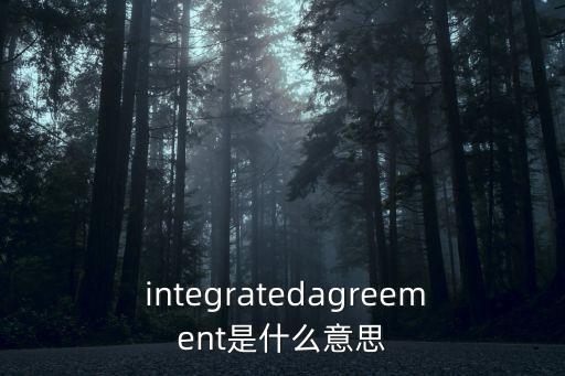  integratedagreement是什么意思