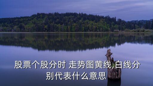  股票個股分時 走勢圖黃線,白線分別代表什么意思