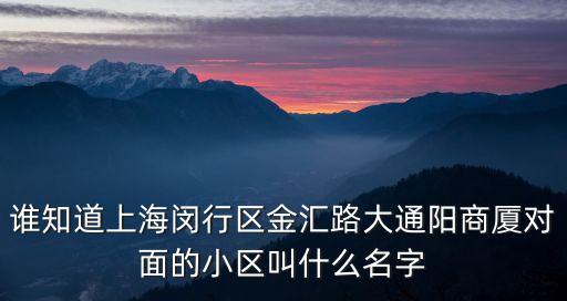 誰知道上海閔行區金匯路大通陽商廈對面的小區叫什么名字
