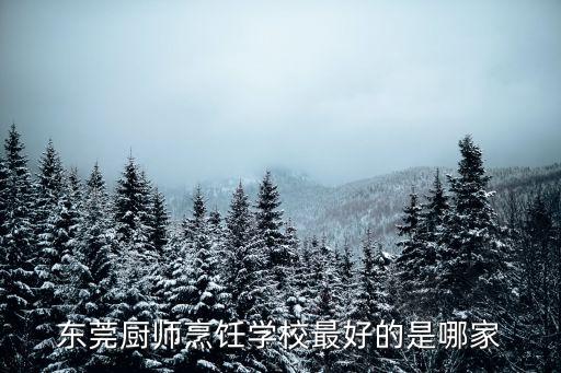 東莞鹵菜培訓哪里好，東莞廚師烹飪學校最好的是哪家