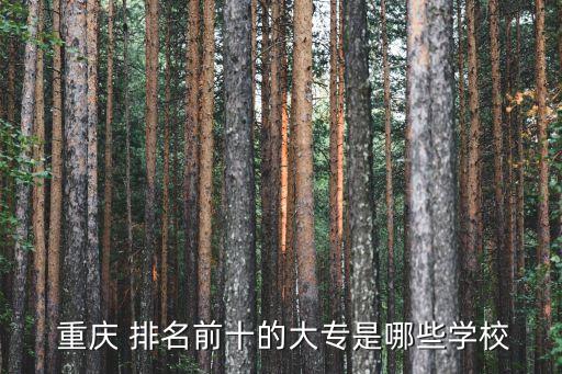 重慶?？茖W校排名