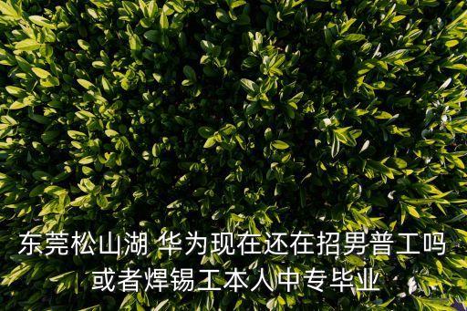 東莞松山湖 華為現在還在招男普工嗎 或者焊錫工本人中專畢業