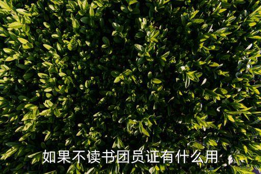 團員證有什么用，如果不讀書團員證有什么用