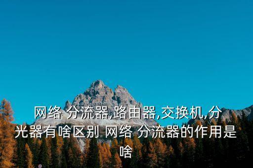  網絡 分流器,路由器,交換機,分光器有啥區別 網絡 分流器的作用是啥
