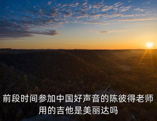 前段時間參加中國好聲音的陳彼得老師用的吉他是美麗達嗎