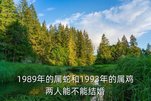 雞和蛇,蛇 公雞:如果他愿意你們會組成幸福婚姻