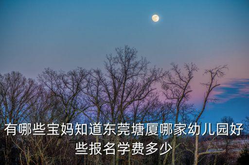 有哪些寶媽知道東莞塘廈哪家幼兒園好些報名學(xué)費多少